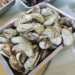 软件主界面展示